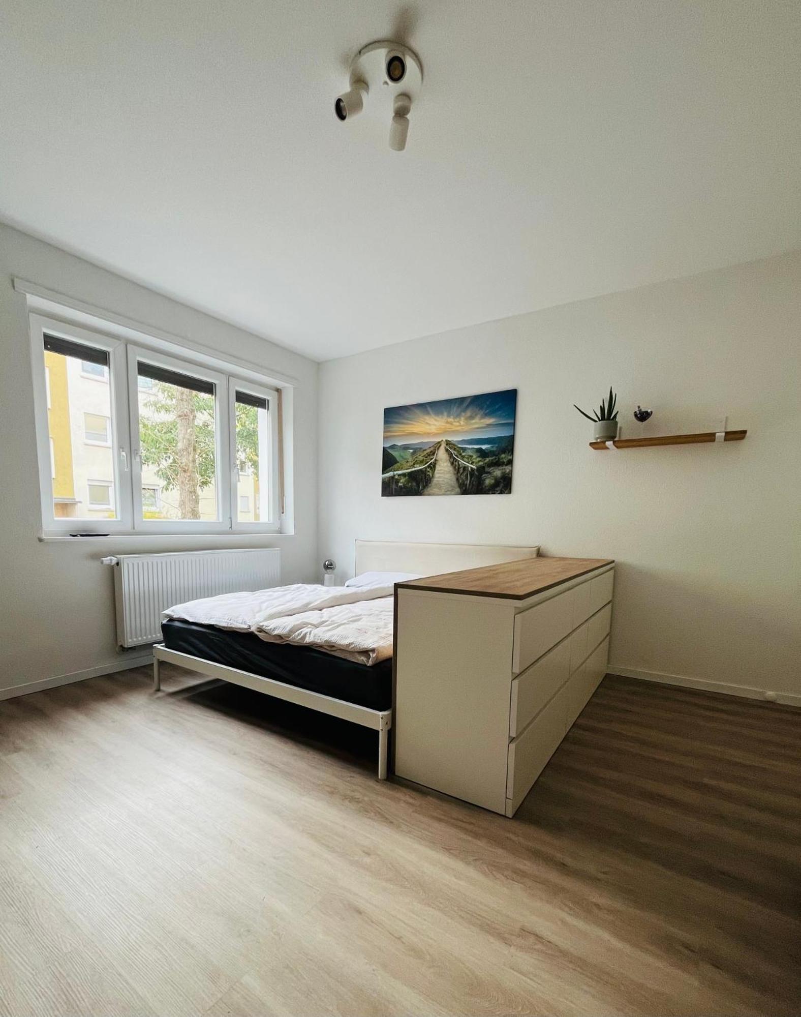 Black Forest City Apartment Mit Kostenlosem Parkplatz Фрайбург-у-Брайсгау Екстер'єр фото